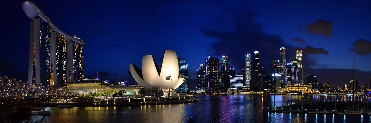 “The Riches of Singapore: How Money Works in the Lion City”